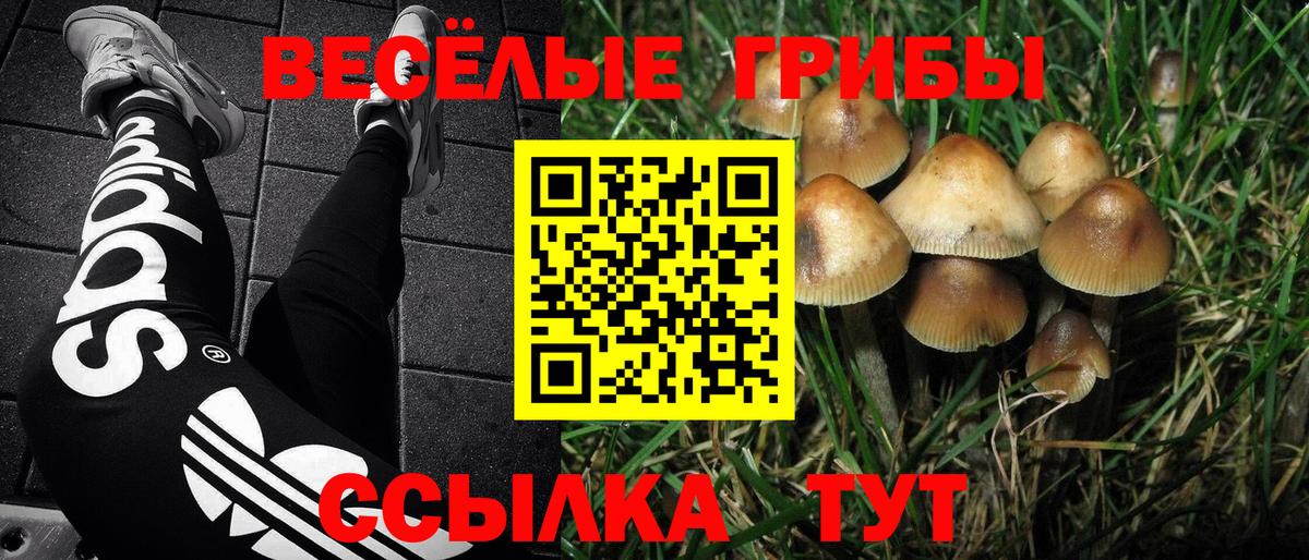 Псилоцибиновые грибы Magic Shrooms Морозовск