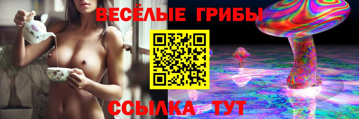 Морозовск  Галлюциногенные грибы Psilocybine cubensis  Галлюциногенные грибы Cubensis  Вход с VPN 